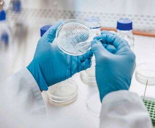 Top Santé 426 Du rêve à la réalité