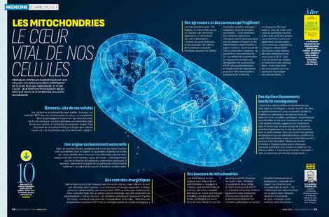 Top Santé 426 LE CŒUR VITAL DE NOS CELLULES