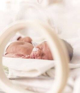 Top Santé 428 Grands prématurés : le paracétamol aide le cœur des plus fragiles, sans mettre en péril leur survie en bonne santé