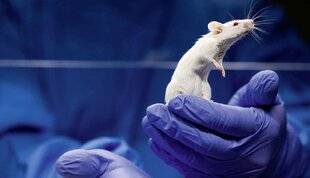 Top Santé 428 CANCER DU PANCRÉAS, UNE PISTE PROMETTEUSE