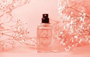 Top Santé 429 LE PARFUM DÉVOILE SES SECRETS
