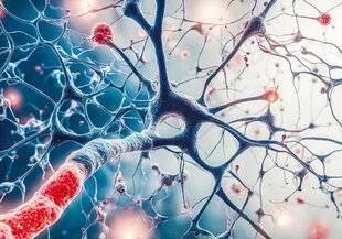 Top Santé 429 6 CHOSES À SAVOIR SUR LA NEUROPLASTICITÉ