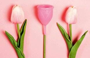 Top Santé 429 LA CUP, NOUVELLE PROTECTION MENSTRUELLE POPULAIRE ?