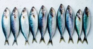 Top Santé 430 Quels poissons peut-on encore consommer ?