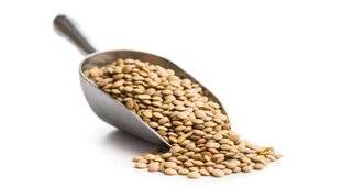 Top Santé 430 PARLONS NUTRITION