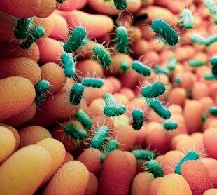 Top Santé 430 MICROBIOTE : ON AVANCE (VITE !)