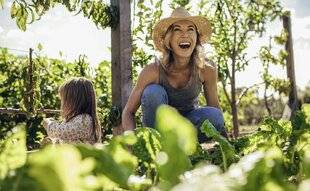 Top Santé 431 « C'est moi qui l'ai cultivé ! »