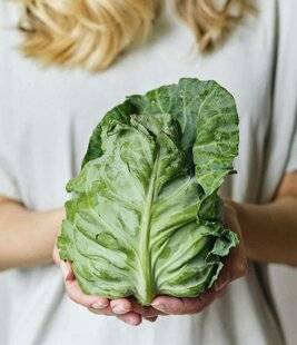 Top Santé 431 Une molécule du chou optimise l'efficacité de l'immunothérapie