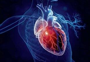 Top Santé 431 CETTE ENVELOPPE QUI PROTEGE LE CŒUR
