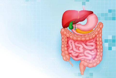 Top Santé 432 Que savez-vous sur les organes de la digestion ?