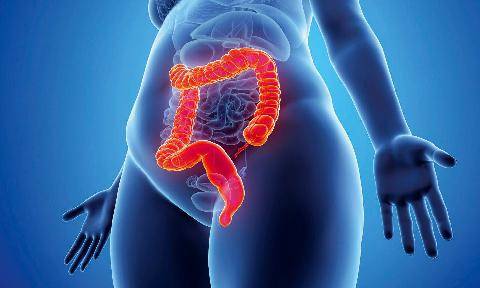 Top Santé 432 Le côlon Dernière étape-clé de la digestion