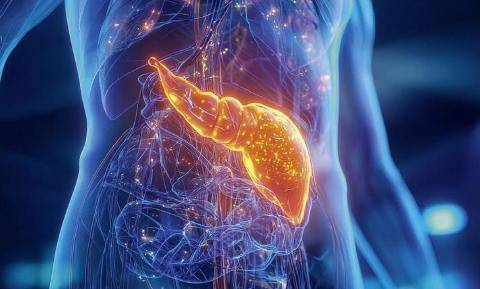 Top Santé 433 CANCERS DU PANCRÉAS : UN DÉPISTAGE PLUS PRÉCOCE