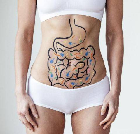 Top Santé 433 MALADIES INFLAMMATOIRES CHRONIQUES DE L’INTESTIN Bientôt une thérapie basée sur le microbiote intestinal ?