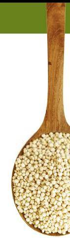 Top Santé 433 Le quinoa La petite graine protéinée