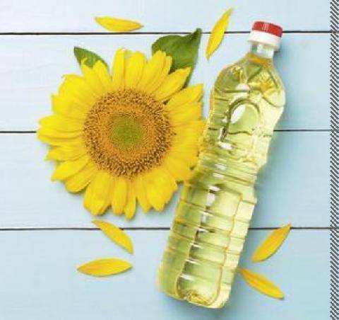 Top Santé 433 PARLONS NUTRITION