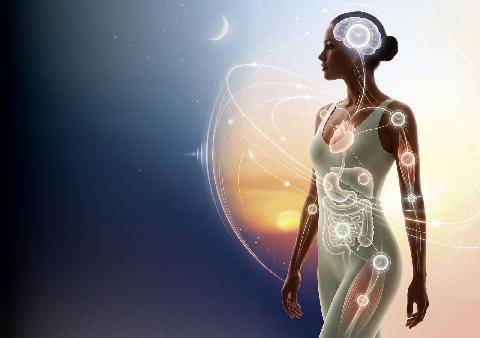 Top Santé 433 CHRONOBIOLOGIEQuand les horloges biologiques veillent sur notre santé