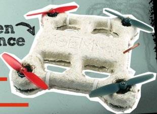 Science & Vie Junior 305 Franken science