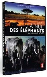 Science & Vie Junior 306 La Nuit des éléphants