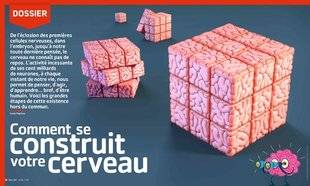 Science & Vie Junior 307 Comment se construit votre cerveau