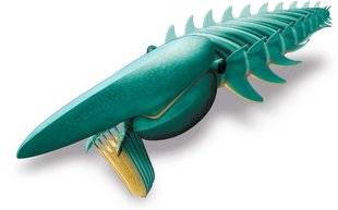 Science & Vie Junior 308 Il avait la pêche