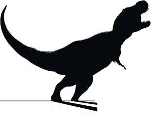 Science & Vie Junior 309 T. rex terrible ou minable ?