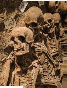Science & Vie Junior 309 Les oubliés des Catacombes