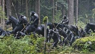 Science & Vie Junior 310 Les chimpanzés sur le sentier de la guerre