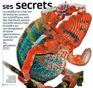 Science & Vie Junior 311 Il ne camoufle plus ses secrets