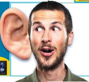 Science & Vie Junior 311 Nos oreilles grandissent-elles toute notre vie ?