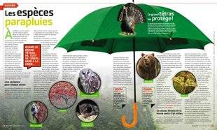 Science & Vie Junior 312 Les espèces parapluies