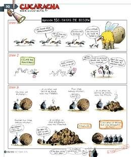 Science & Vie Junior 313 Épisode 156 : EN-CAS DE BESOIN