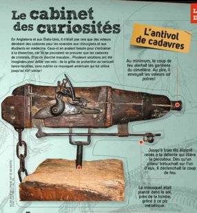 Science & Vie Junior 313 Le cabinet des curiosités
