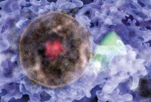 Science & Vie Junior 410 DANS SA BULLE
