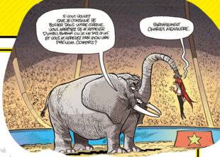 Science & Vie Junior 410 NOM D'UN ÉLÉPHANT !