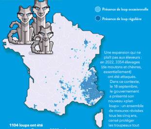Science & Vie Junior 410 LA DATA DU MOIS