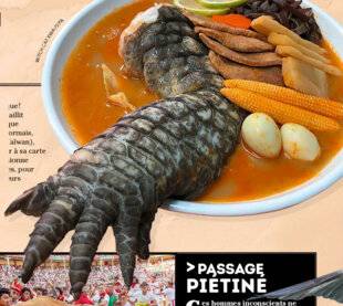 Science & Vie Junior 410 > PATTE AL DENTE