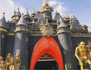 Science & Vie Junior 410 > LE CHÂTEAU DE HARRY