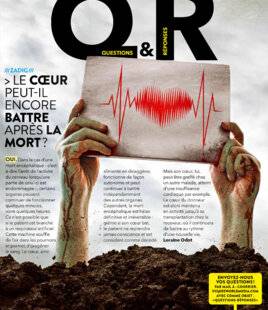 Science & Vie Junior 410 > LE CŒUR PEUT-IL ENCORE BATTRE APRÈS LA MORT ?