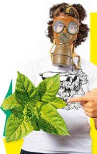 Science & Vie Junior 410 PLANTEZ DES BIO-INDICATEURS et surveillez la qualité de l'air que vous respirez.
