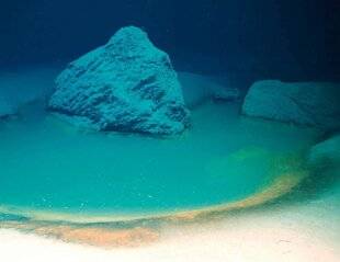 Science & Vie Junior 411 LES LACS DE SAUMURE