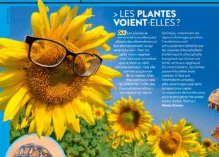 Science & Vie Junior 412 > LES PLANTES VOIENT-ELLES ?