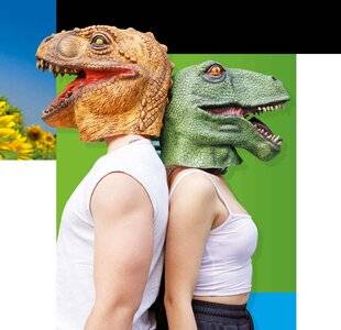 Science & Vie Junior 412 > PEUT-ON CONNAÎTRE LA COULEUR DINOSAURES ?