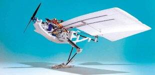 Science & Vie Junior 428 Texto