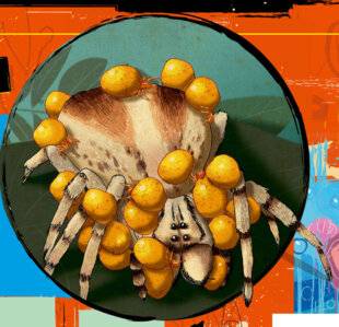 Science & Vie Junior 428 Quiz passe-t-il, ici ?