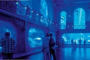 Science & Vie Junior 428 Méditerranée 2050 : la mer à voir