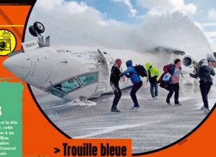 Science & Vie Junior 429 Trouille bleue