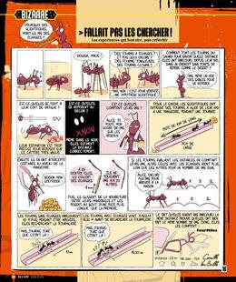Science & Vie Junior 429 FALLAIT PAS LES CHERCHER !