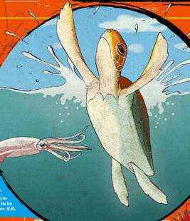 Science & Vie Junior 430 Quiz passe-t-il, ici ?