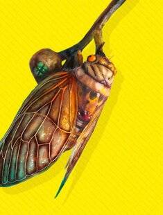Science & Vie Junior 431 Fabuleuse cigale