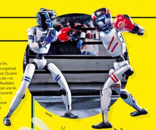 Science & Vie Junior 431 Rocky bot